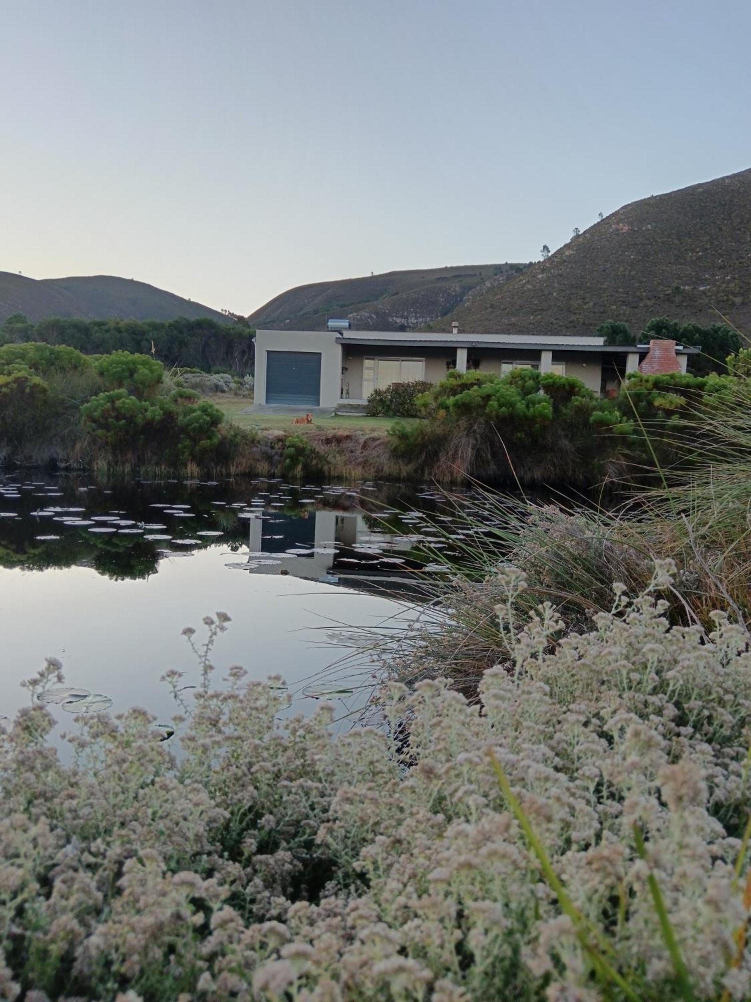 Vila Blombos Self-Catering House Franskraalstrand Exteriér fotografie
